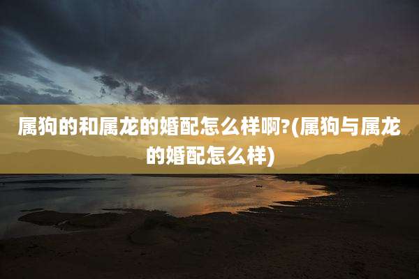属狗的和属龙的婚配怎么样啊?(属狗与属龙的婚配怎么样)