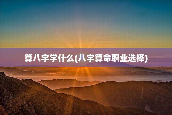 算八字学什么(八字算命职业选择)