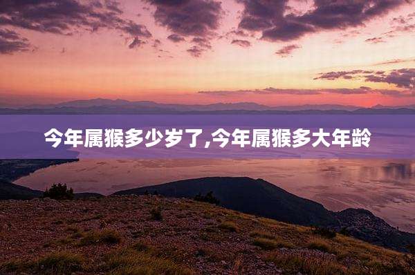 今年属猴多少岁了,今年属猴多大年龄