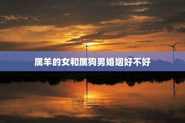 属羊的女和属狗男婚姻好不好