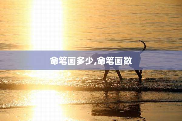 命笔画多少,命笔画数