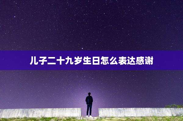 儿子二十九岁生日怎么表达感谢