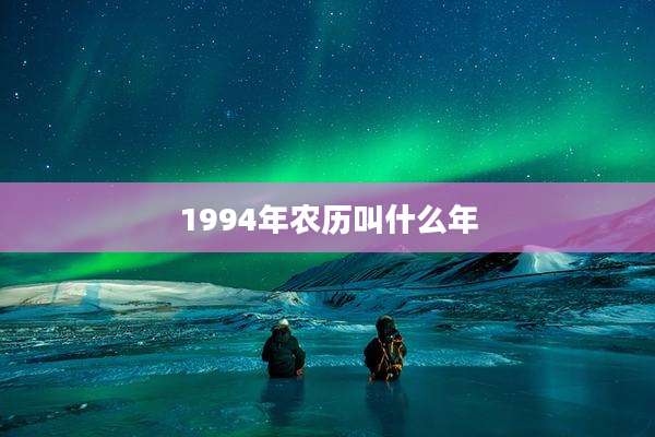 1994年农历叫什么年