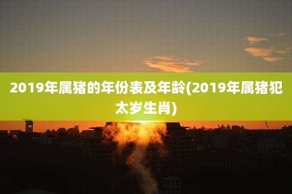 2019年属猪的年份表及年龄(2019年属猪犯太岁生肖)