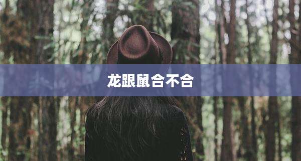 龙跟鼠合不合