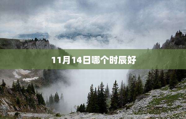 11月14日哪个时辰好