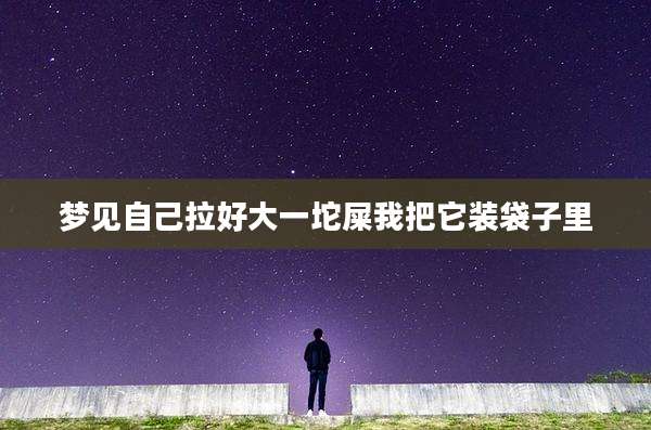 梦见自己拉好大一坨屎我把它装袋子里