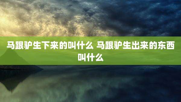 马跟驴生下来的叫什么 马跟驴生出来的东西叫什么