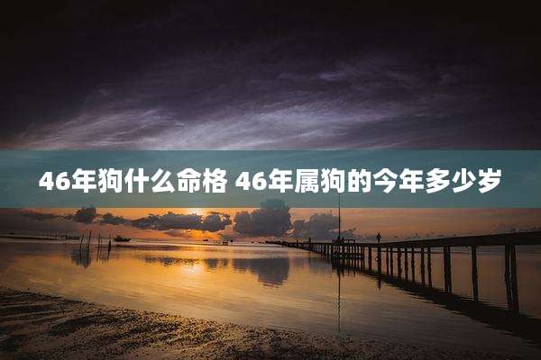 46年狗什么命格 46年属狗的今年多少岁