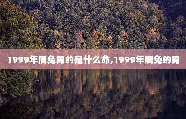 1999年属兔男的是什么命,1999年属兔的男
