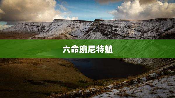 六命班尼特魈