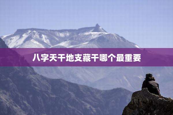 八字天干地支藏干哪个最重要