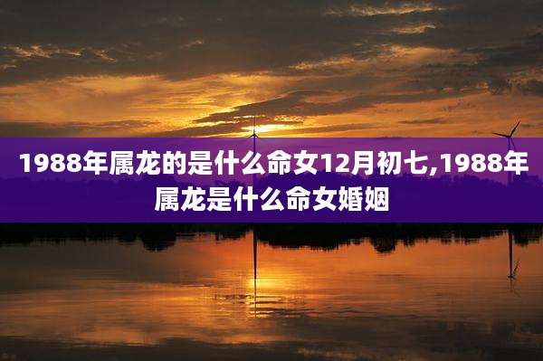 1988年属龙的是什么命女12月初七,1988年属龙是什么命女婚姻