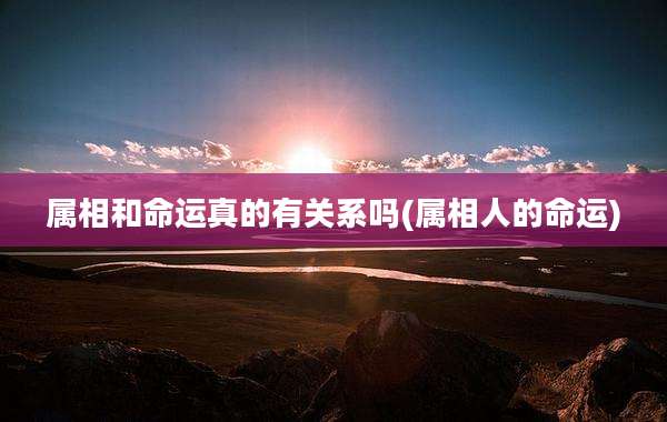 属相和命运真的有关系吗(属相人的命运)