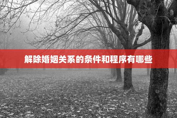 解除婚姻关系的条件和程序有哪些
