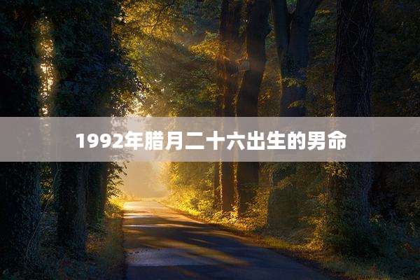 1992年腊月二十六出生的男命
