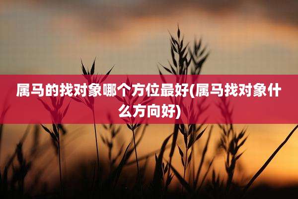 属马的找对象哪个方位最好(属马找对象什么方向好)