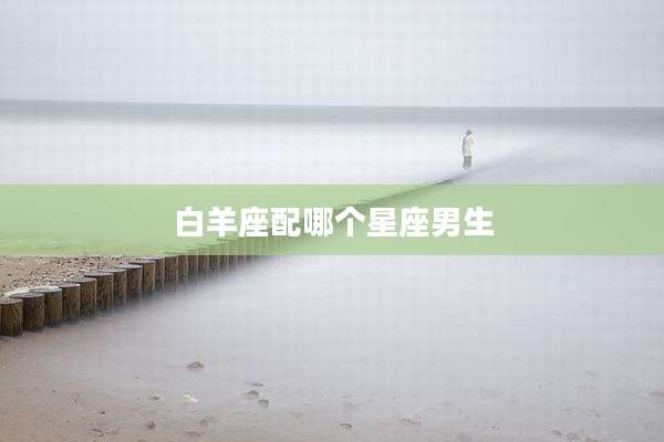 白羊座配哪个星座男生