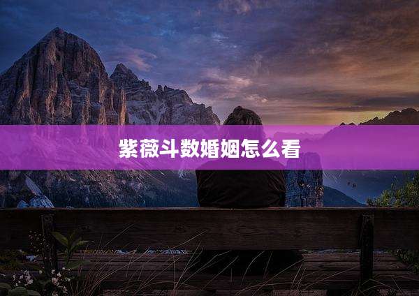 紫薇斗数婚姻怎么看