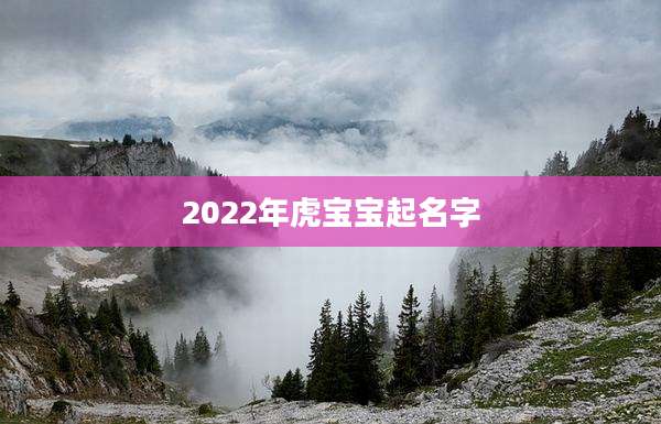 2022年虎宝宝起名字