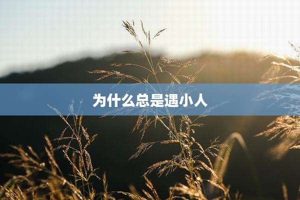 为什么总是遇小人
