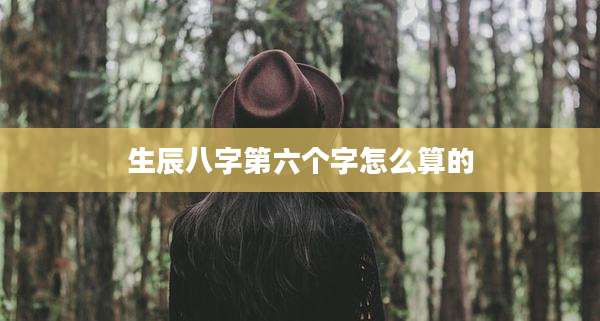 生辰八字第六个字怎么算的