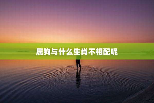 属狗与什么生肖不相配呢