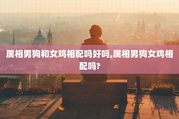 属相男狗和女鸡相配吗好吗,属相男狗女鸡相配吗?