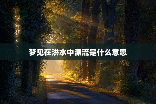 梦见在洪水中漂流是什么意思