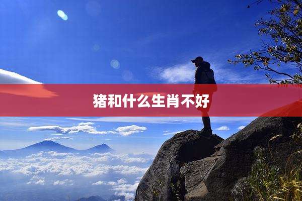 猪和什么生肖不好