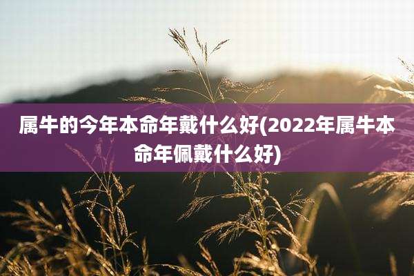 属牛的今年本命年戴什么好(2022年属牛本命年佩戴什么好)