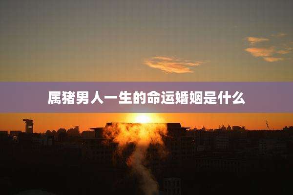 属猪男人一生的命运婚姻是什么