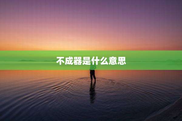 不成器是什么意思