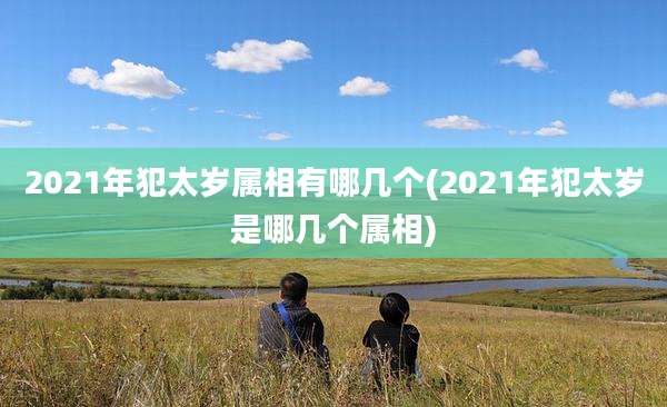 2021年犯太岁属相有哪几个(2021年犯太岁是哪几个属相)