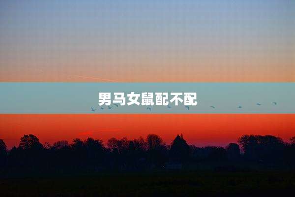 男马女鼠配不配