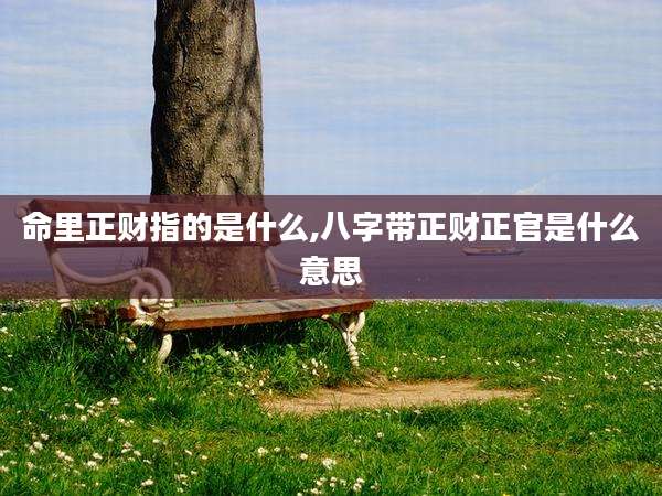 命里正财指的是什么,八字带正财正官是什么意思