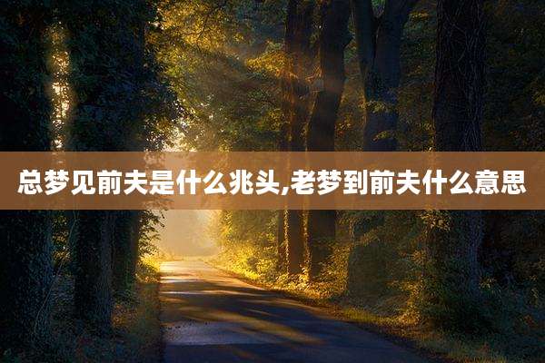 总梦见前夫是什么兆头,老梦到前夫什么意思