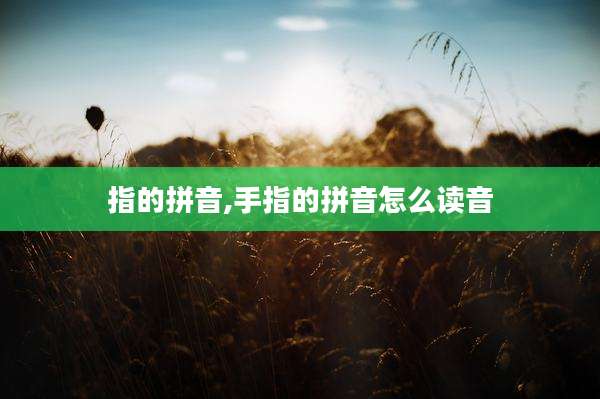 指的拼音,手指的拼音怎么读音