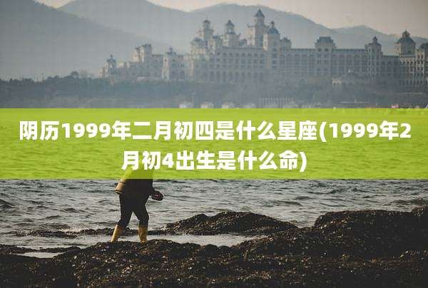 阴历1999年二月初四是什么星座(1999年2月初4出生是什么命)