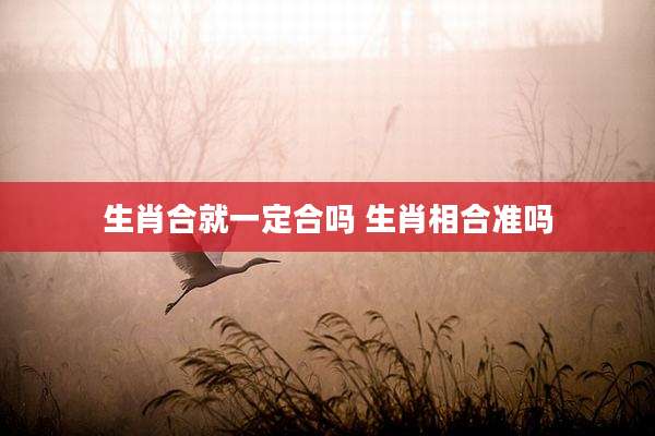 生肖合就一定合吗 生肖相合准吗