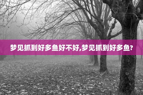 梦见抓到好多鱼好不好,梦见抓到好多鱼?