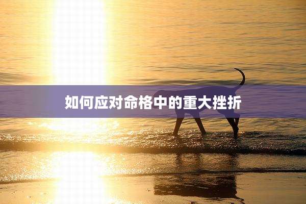 如何应对命格中的重大挫折