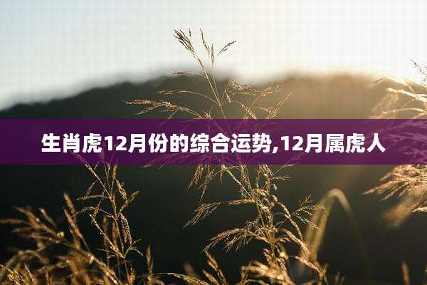 生肖虎12月份的综合运势,12月属虎人
