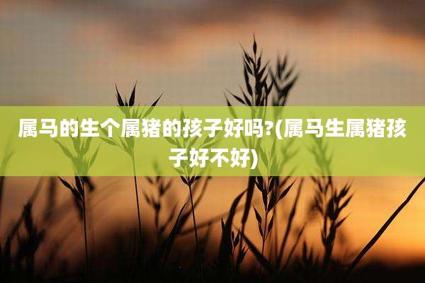 属马的生个属猪的孩子好吗?(属马生属猪孩子好不好)