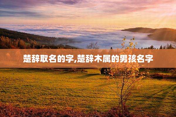 楚辞取名的字,楚辞木属的男孩名字