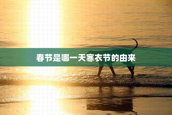 春节是哪一天寒衣节的由来