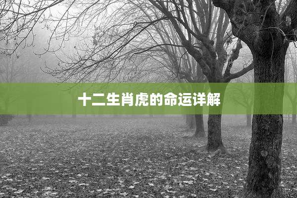 十二生肖虎的命运详解
