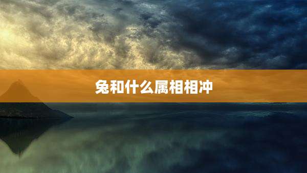 兔和什么属相相冲