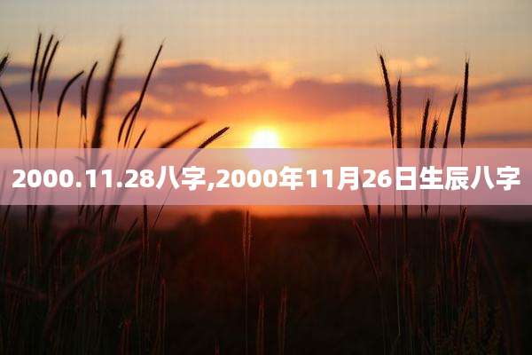 2000.11.28八字,2000年11月26日生辰八字