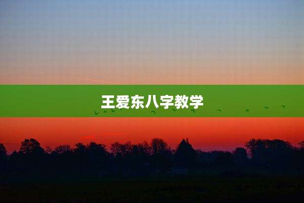 王爱东八字教学